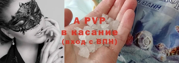 гидра Арсеньев