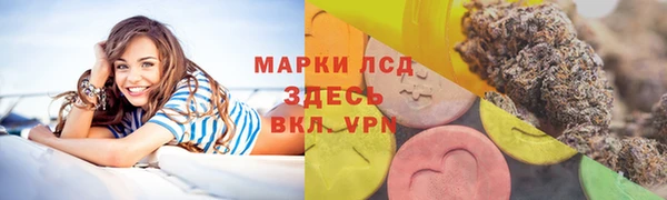 эйфоретик Баксан