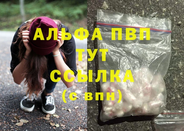 гидра Арсеньев