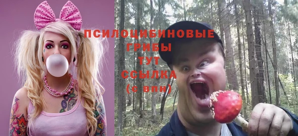 эйфоретик Баксан