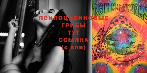 дживик Аркадак
