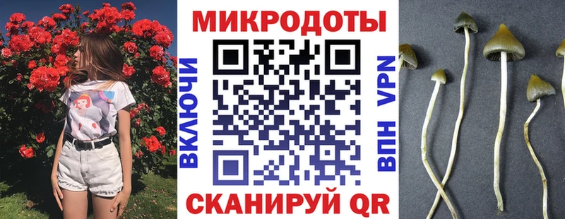 Галлюциногенные грибы прущие грибы Семилуки