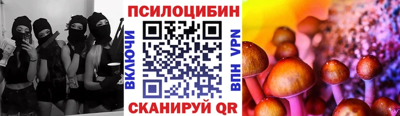 Купить  Семилуки  Псилоцибиновые грибы Cubensis 